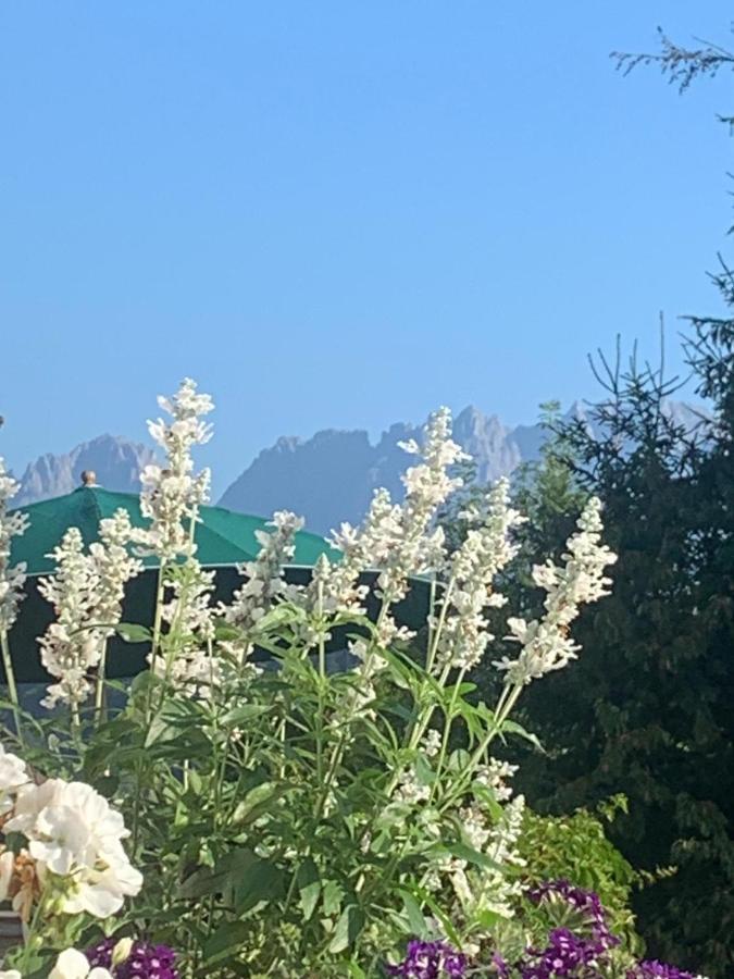 Pension Hinterseer Kitzbühel Esterno foto
